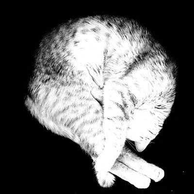 lrhodes@merveilles.town