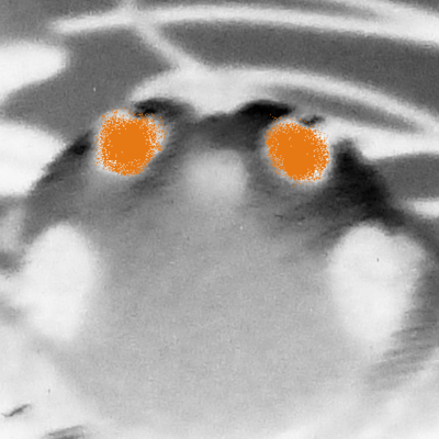 [?]