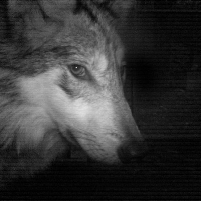 dogma@merveilles.town