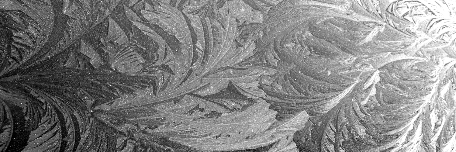 raboof's profile header