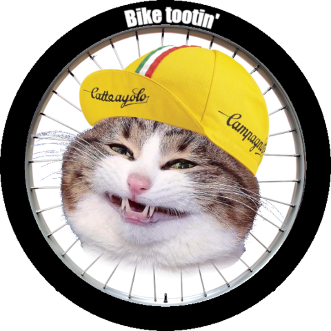 Catte, a brown-black striped white tabby, grinning, wearing a yellow cycling cap that reads "Catteayolo", a play on Campagnolo.  Background is a bicycle wheel and the outside ring contains the words "Bike tootin'"