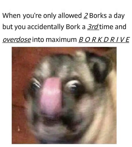 A meme of a pug dog. It's eyes are wide open and it's tongue is out, fully extended and rolled up over it's nose, the dog looks over excited.

Caption reads

"When you're only allowed 2 Borks a day
but you accidentally Bork a 3rd time and
overdose into maximum BORKDRIVE"