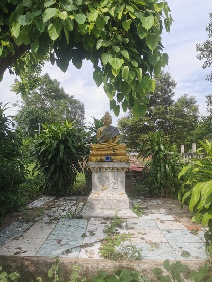 A golden Buddha with a silver green silk robe sits upon a pillar on a tiled platform, green foliage surrounds the sides and back. Buddha is serene.