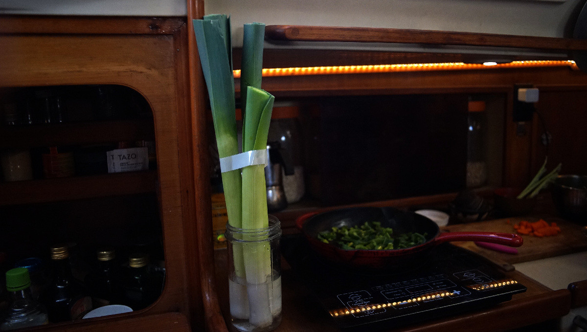 3 leeks in a jar with water on the countertop of a sailboat