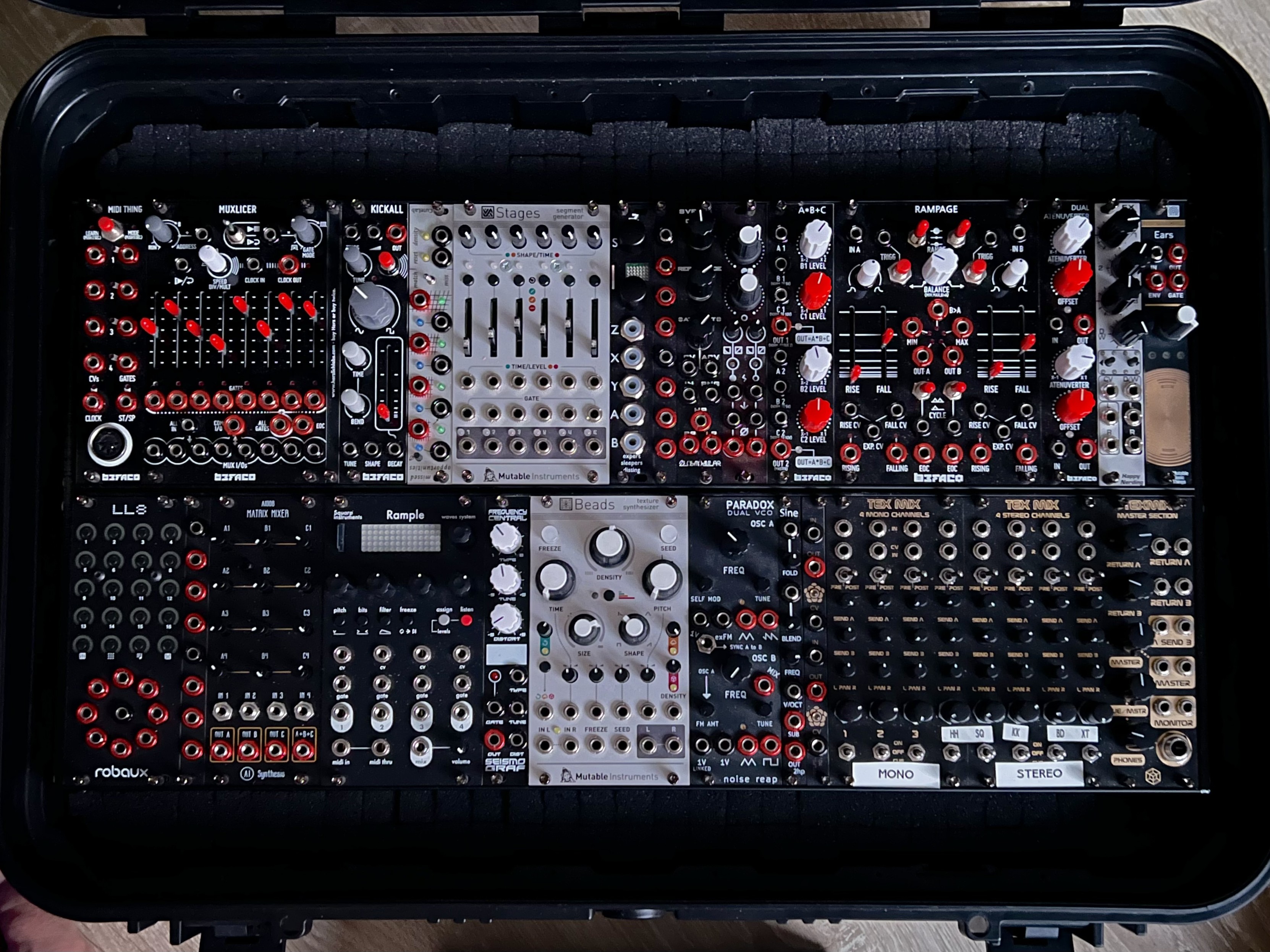 96hp 6u Eurorack synthesizer system in a “skiff” format. Neatly packeted in its travel case. Waiting foe new adventures.