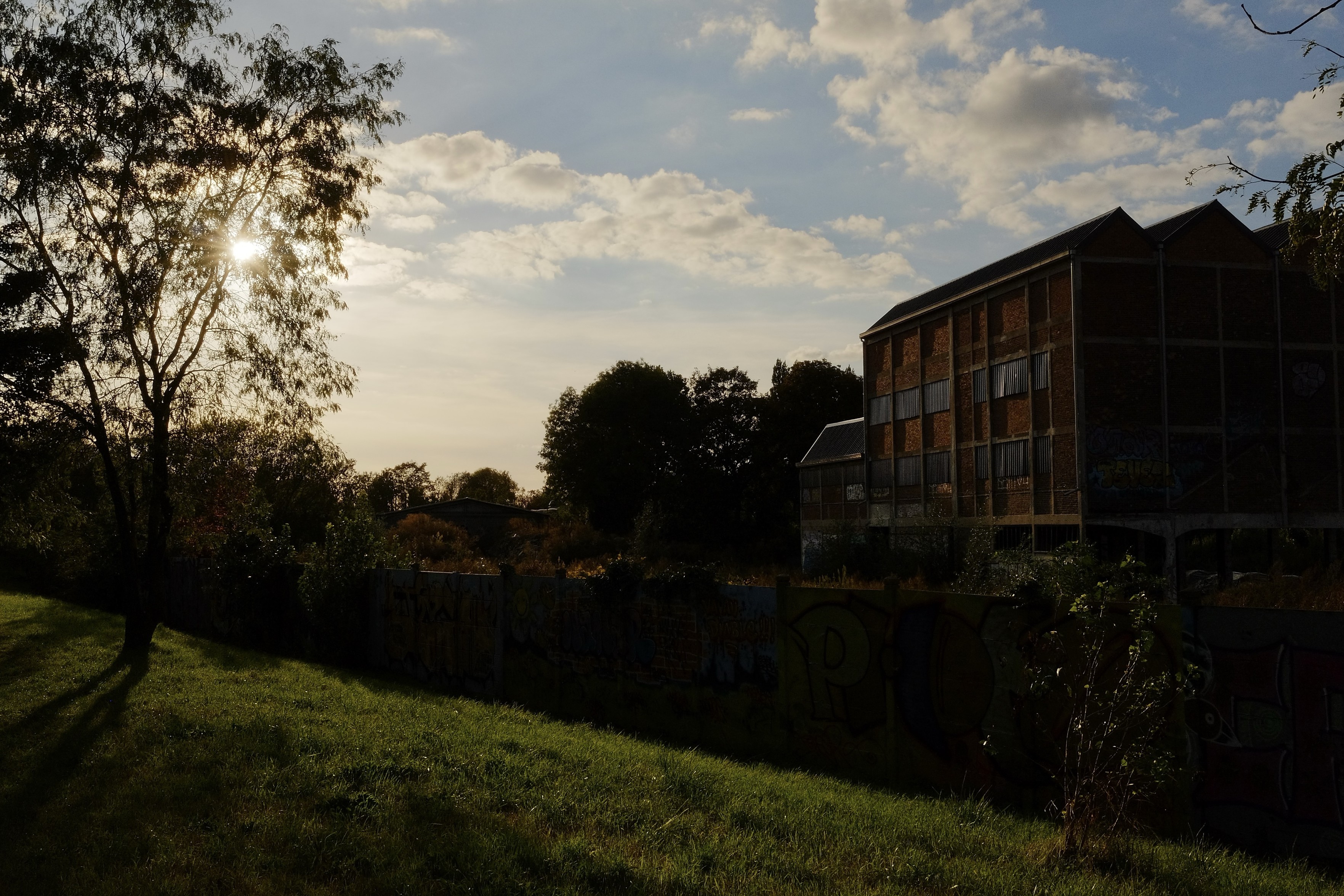 Contrasted sunset scene, warm light.

An abandoned building stands against a backdrop of trees and a cloudy sky, illuminated by a low sun. A grassy area in the foreground features a street art-covered wall.