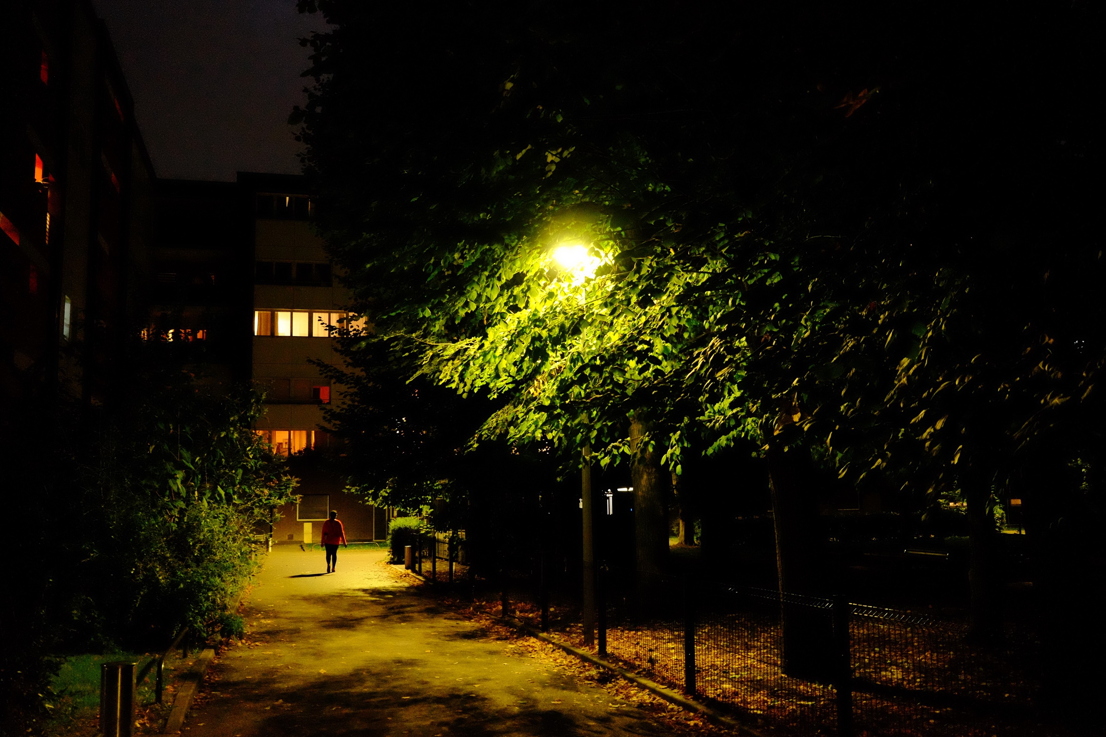 Landscape format, urban scene, nighttime.

A solitary figure walks along a dimly lit path in, surrounded by trees on the right and illuminated by a streetlight. On the left, buildings have windows aglow with soft light.